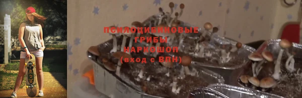 2c-b Алзамай