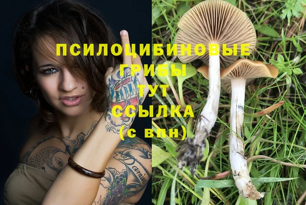 а пвп мука Алексеевка