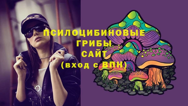 2c-b Алзамай