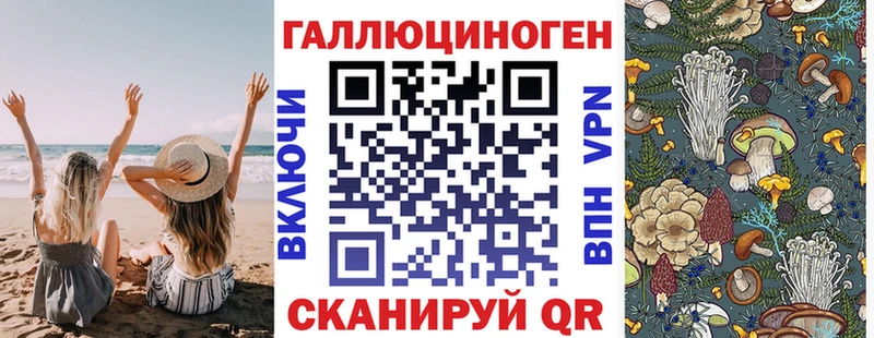 купить наркотики сайты Красноуфимск Псилоцибиновые грибы MAGIC MUSHROOMS